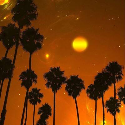 亚搏官网入口app