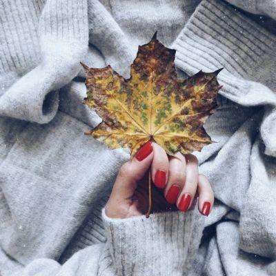 必一体育官方下载入口