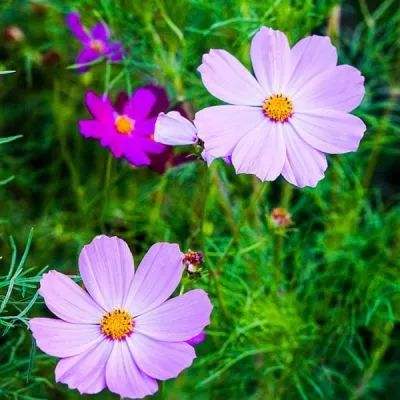 开元·app下载手机版