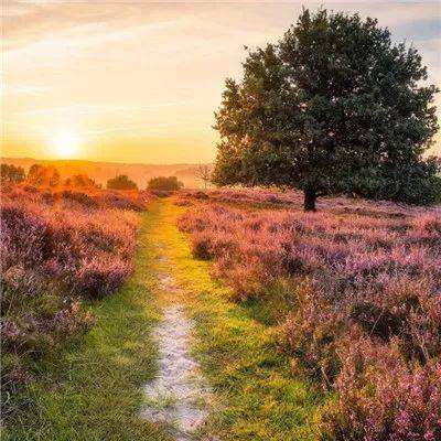 凤凰彩票进入网址